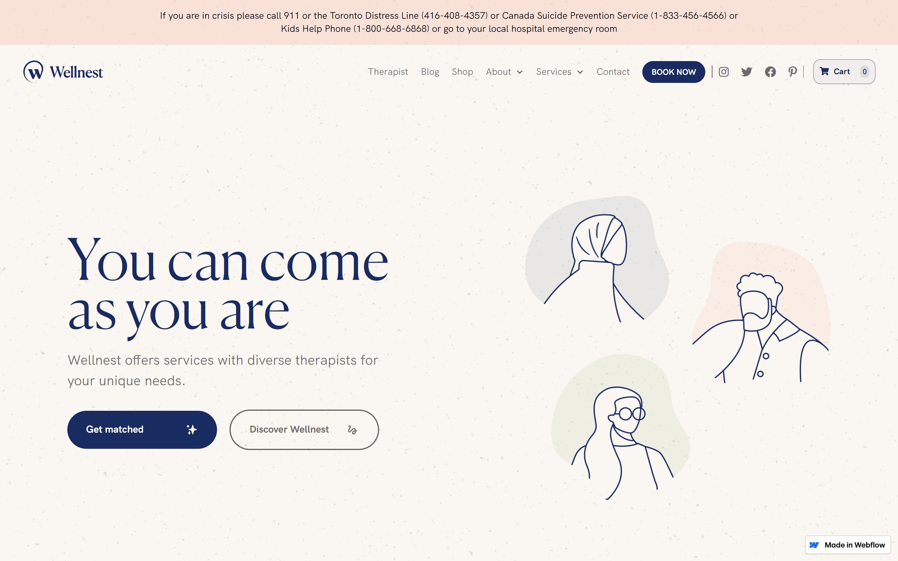 Wellnest — therapy services website screenshot